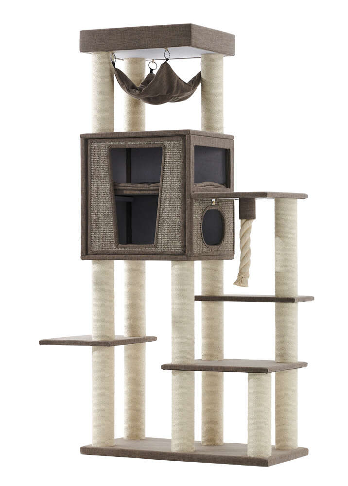 Nobby Kratzbaum Kasil